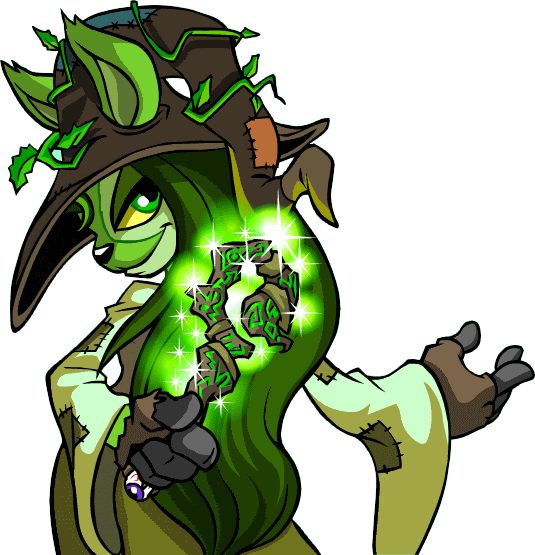 a voider neopets